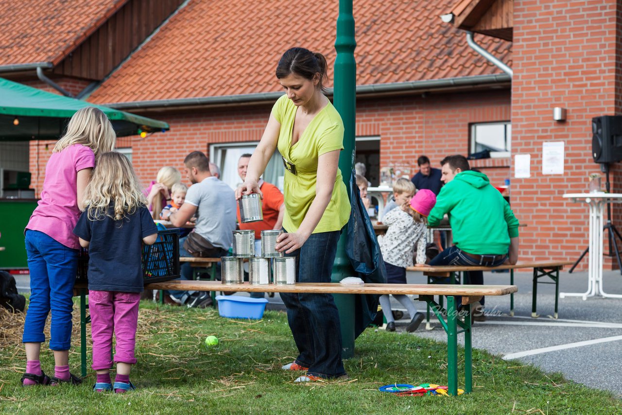 Bild 19 - Wiemersdorfer Maibaum